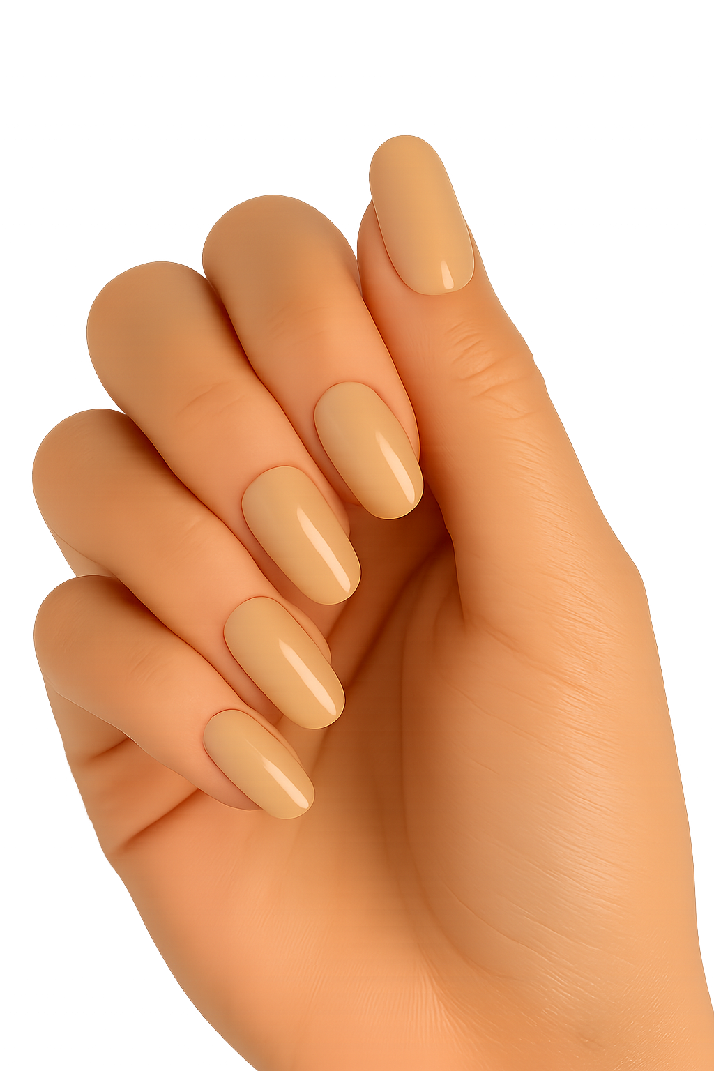 👜Beige Nude